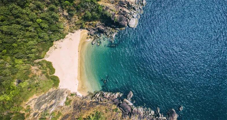 Discover the Best Beaches in Goa: A Complete Travel Guide