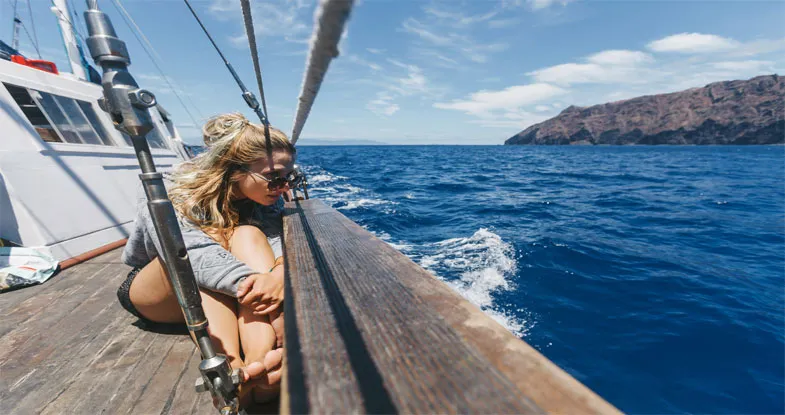 Female traveler watching Dolphin Image