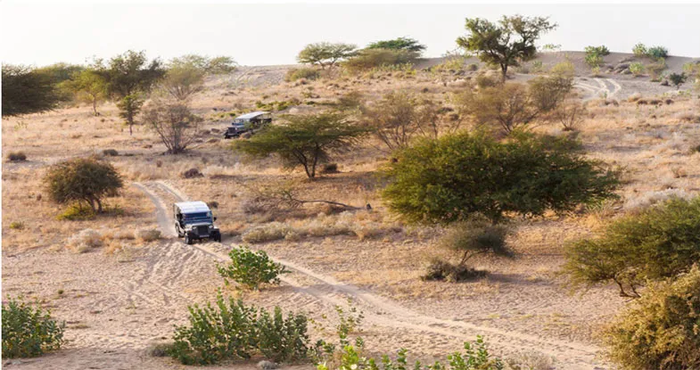 Jeep Safari on Sand Dunes, Jaisalmer Image