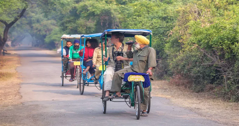 Rickshaw Ride at Amritsar Image